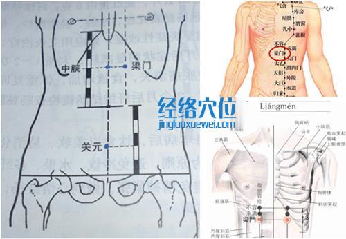 梁門穴位位置圖（高清圖組）