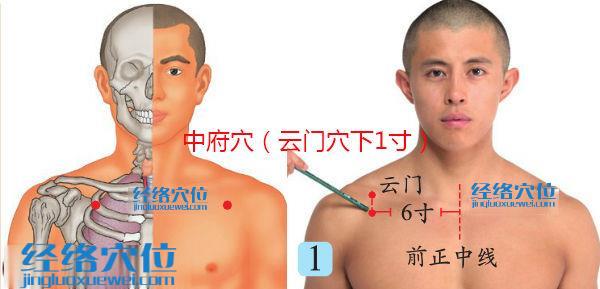 中府穴的位置圖（高清圖）