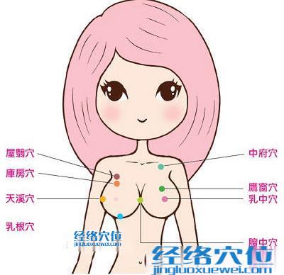高清圖解乳中穴的位置圖