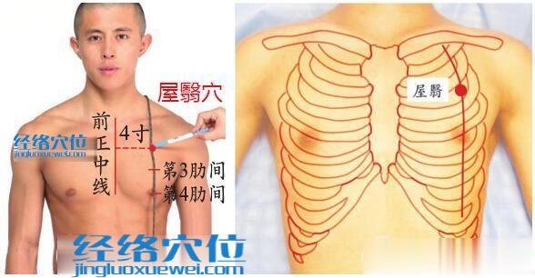 屋翳穴位位置圖