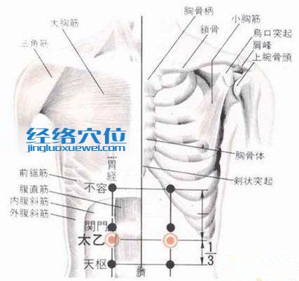 太乙穴的位置解剖分析圖