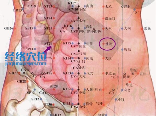 圖解外陵穴的位置及解剖分析圖