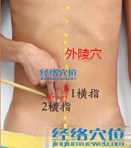 外陵穴位位置圖