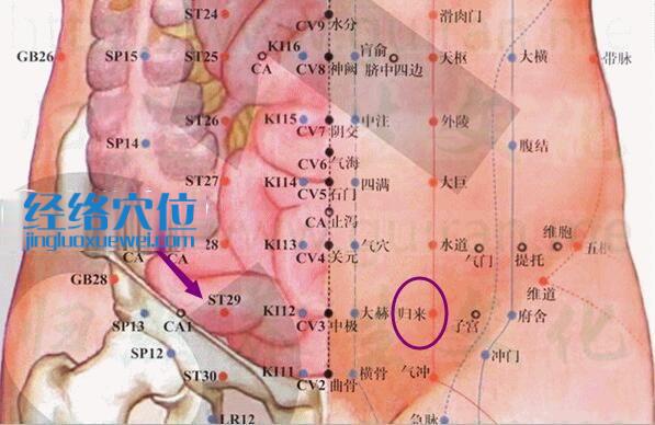 高清圖解歸來穴