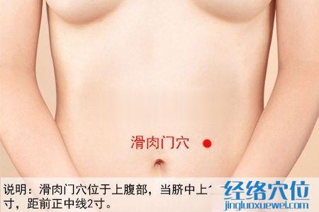 滑肉門穴的位置