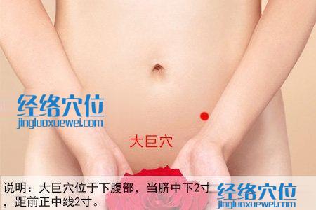 大巨穴位位置圖