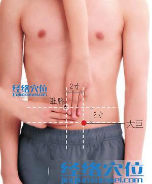 大巨穴位位置圖