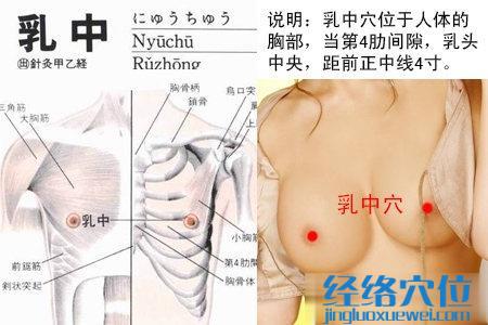 乳中穴位位置圖