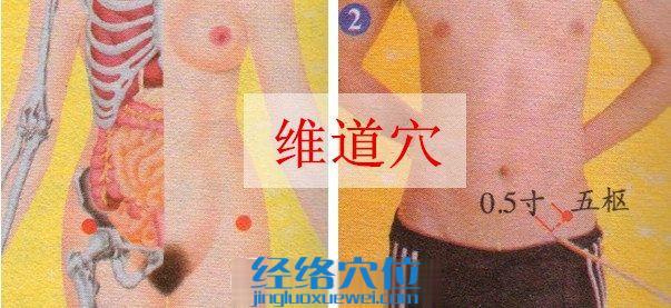 維道穴位位置圖