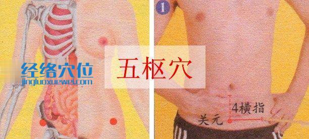 五樞穴位位置圖