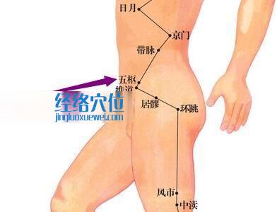五樞穴位位置圖