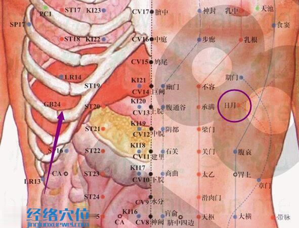 日月穴的準確位置圖