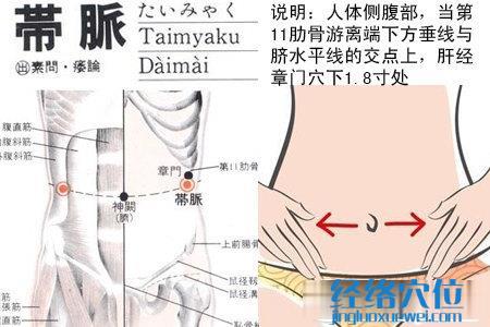 帶脈穴位圖