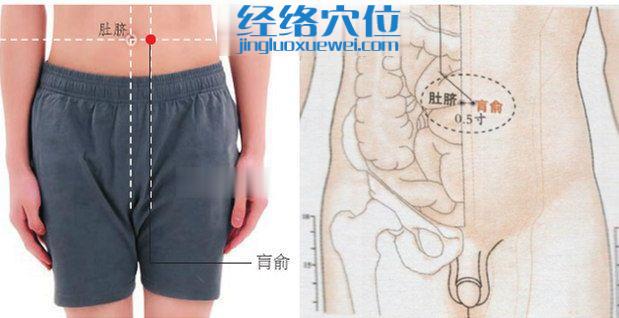 肓俞穴位位置圖