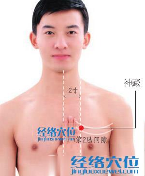 神藏穴位位置圖