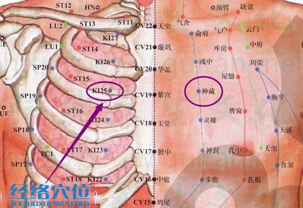 神藏穴的準確位置圖