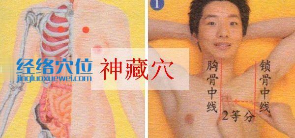 神藏穴的準確位置圖