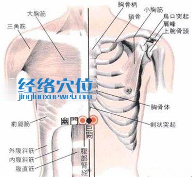 幽門穴的位置解剖分析圖