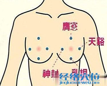 豐胸穴位圖