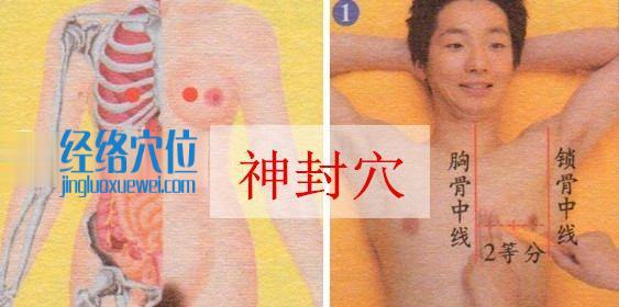 神封穴的準確位置圖