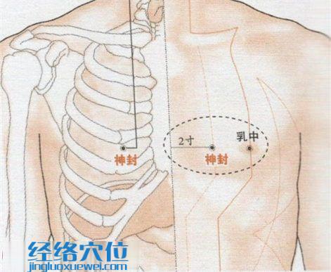 神封穴位位置圖