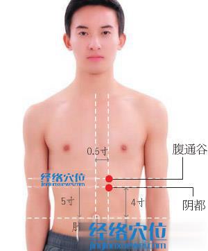 陰都穴位位置圖