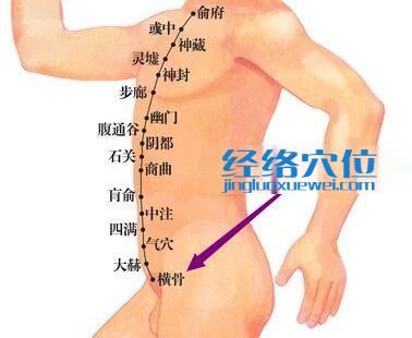 橫骨穴位位置圖