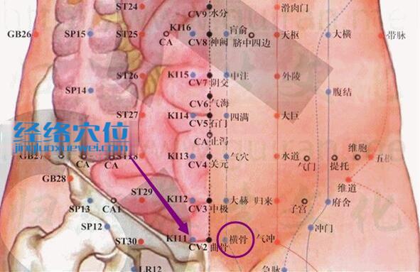橫骨穴的準(zhǔn)確位置圖