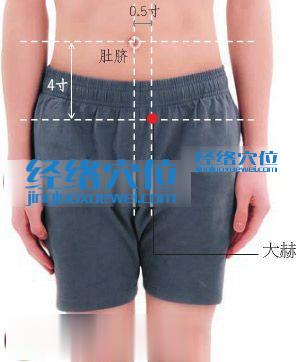 大赫穴位位置圖