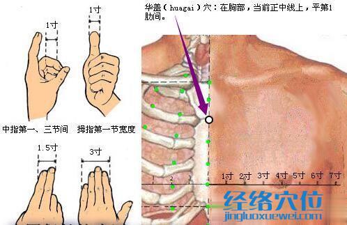 華蓋穴位位置圖