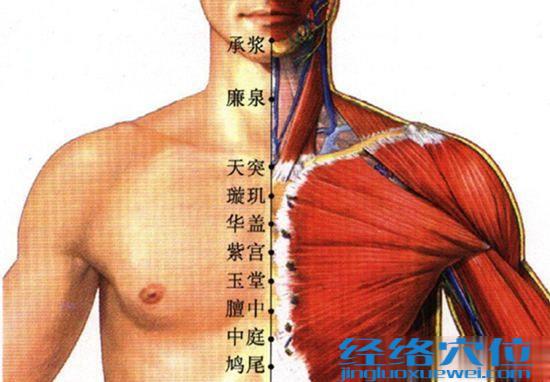 紫宮穴位位置圖