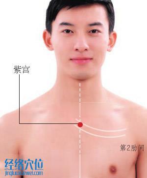 紫宮穴位位置圖