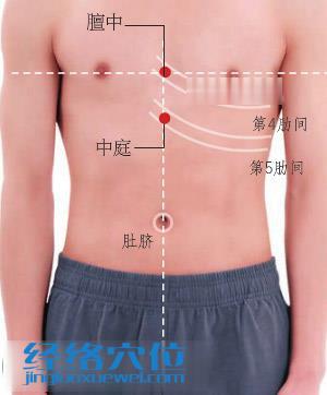 中庭穴位位置圖