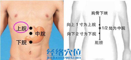上脘穴的準(zhǔn)確位置圖