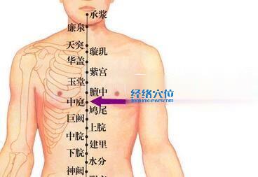 中庭穴位圖