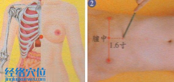 中庭穴的準確位置圖