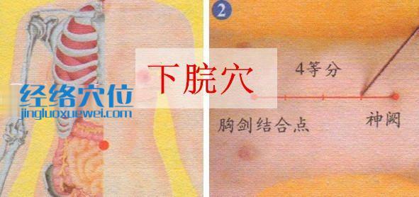 下脘穴的準(zhǔn)確位置圖