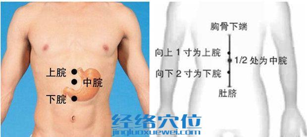 下脘穴的位置圖