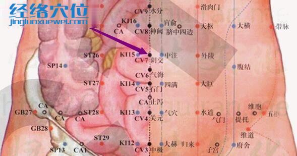 陰交穴的準(zhǔn)確位置圖