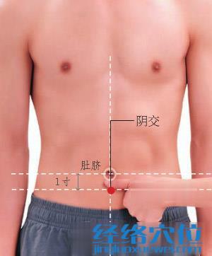 陰交穴位位置圖