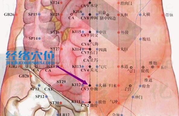 中極穴的準(zhǔn)確位置圖