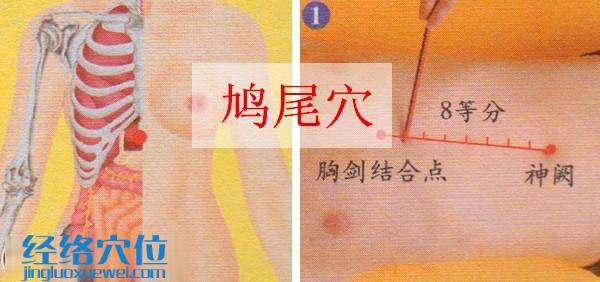 鳩尾穴的準(zhǔn)確位置圖
