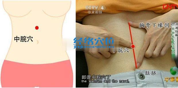 中脘穴的準確位置圖
