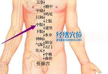 中脘穴位位置圖