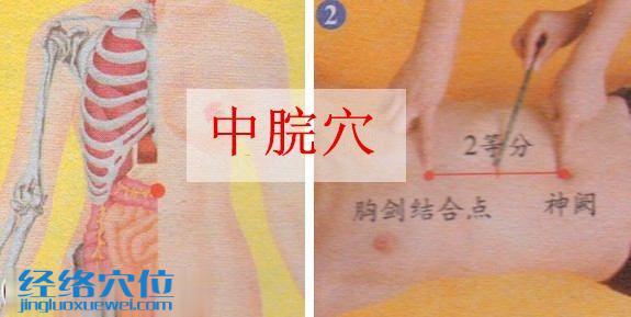 中脘穴的位置圖