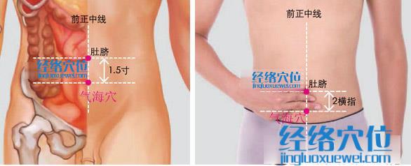 氣海穴位位置圖