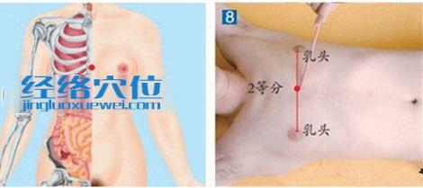 圖解膻中穴的位置