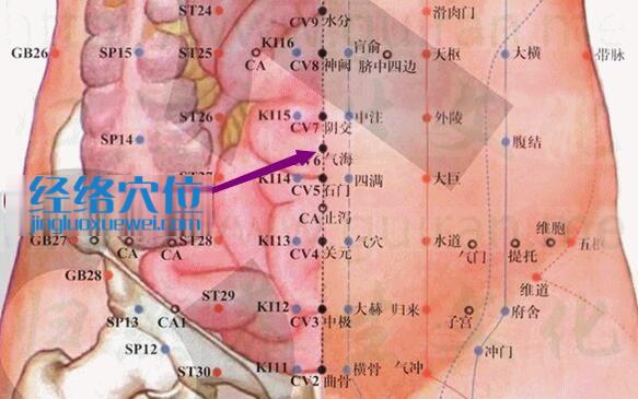 氣海穴的準(zhǔn)確位置圖