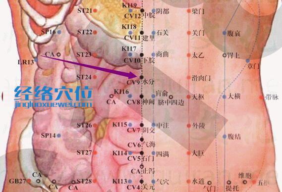 水分穴的準(zhǔn)確位置圖