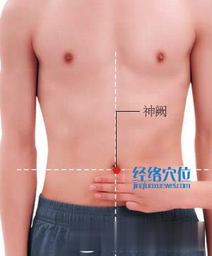 神闕穴位位置圖
